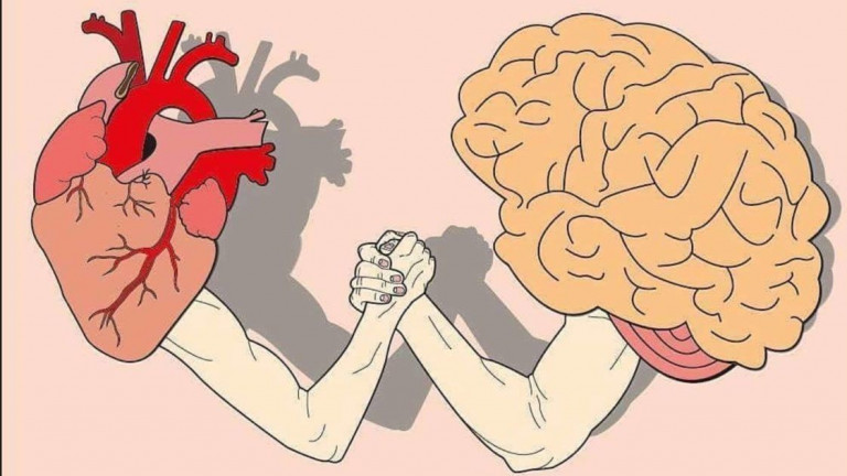 Риски для сердца и мозга
