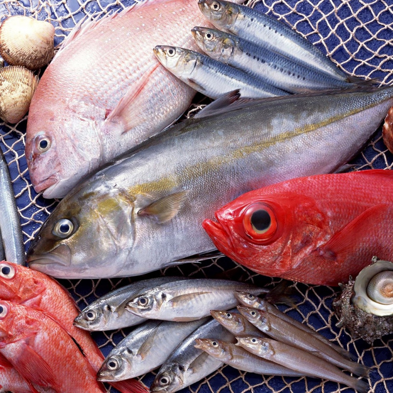 Как влияет на здоровье рыба